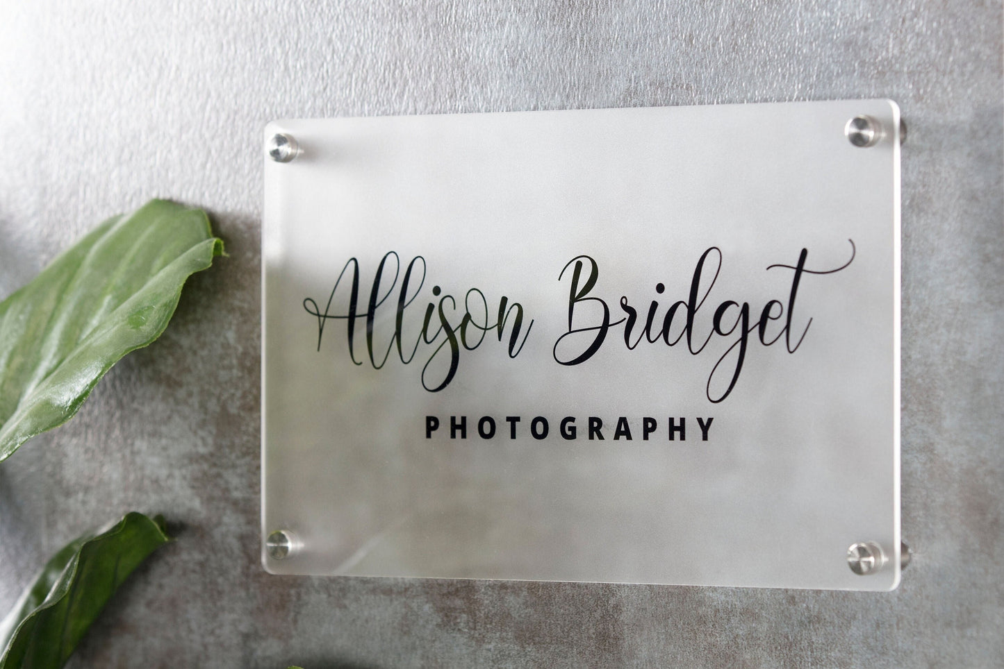Frosted Acrylic Office Door Sign w/ Metal Stand Offs - 11.5x7" Custom Business Logo Wall Sign, Personalized Medical Office Door Name Plate