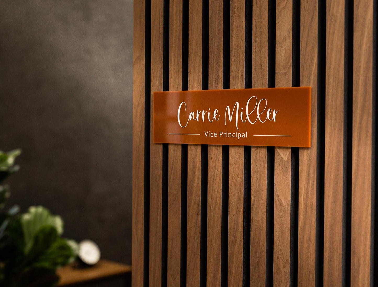 Wall Sign Name Plate (No Hole) - 2 Sizes Personalized Stick on Executive CEO Sign, New Job Business Decor, Staff Teacher Appreciation Gift