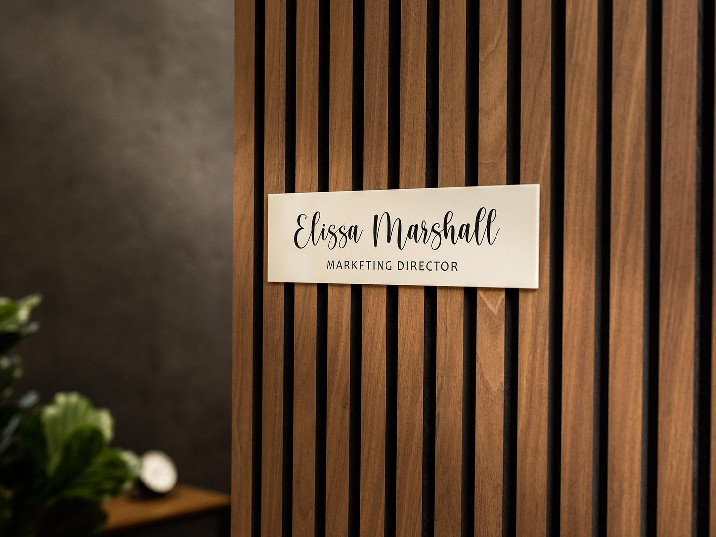 Wall Sign Name Plate (No Hole) D3 - 2 Sizes Personalized Stick on Shop Home Office Glass Wall or Door, Minimalist Gift for Small Business