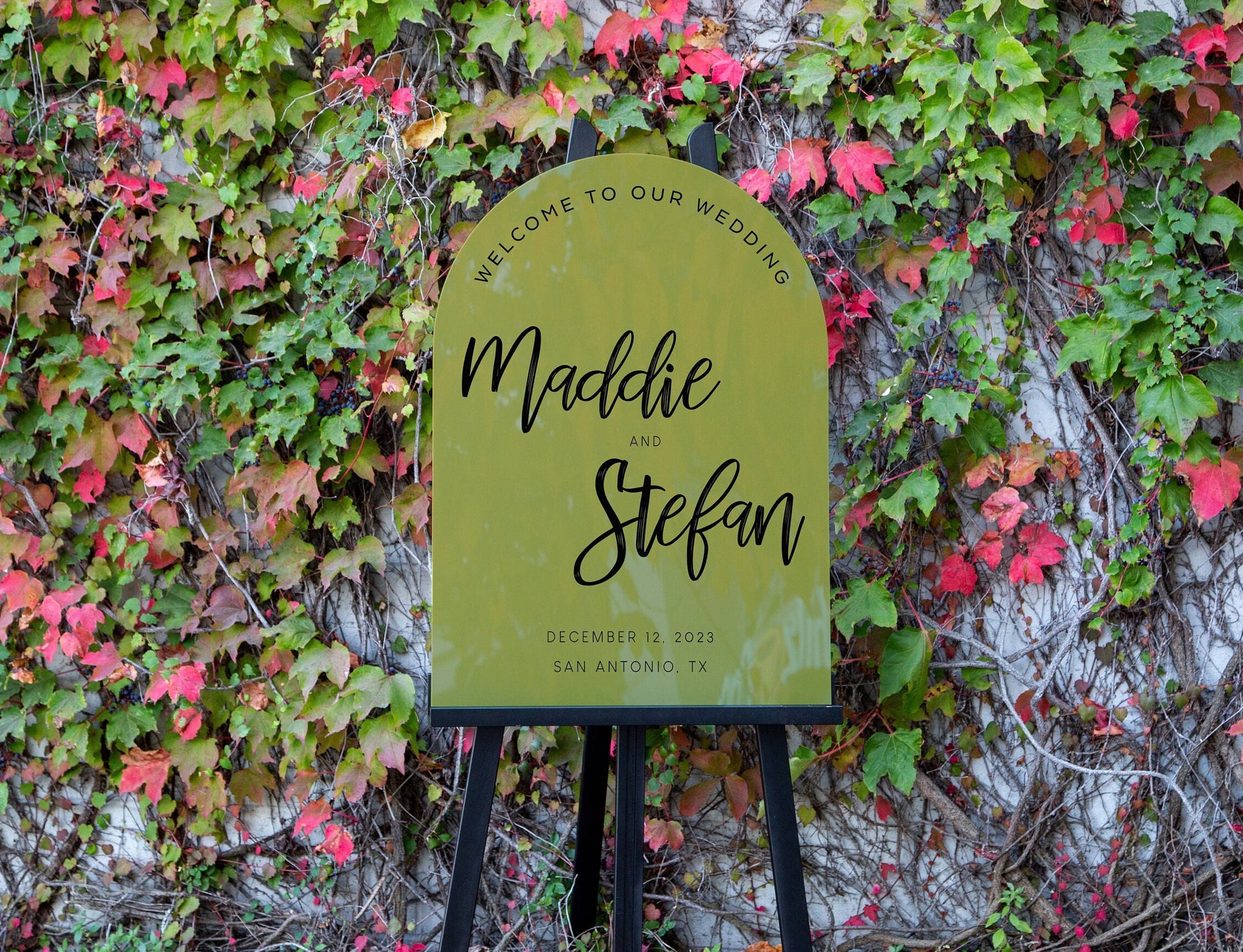 Personalized Arched Acrylic Wedding Welcome Sign (Design 4) , Wedding Sign, Party Sign
