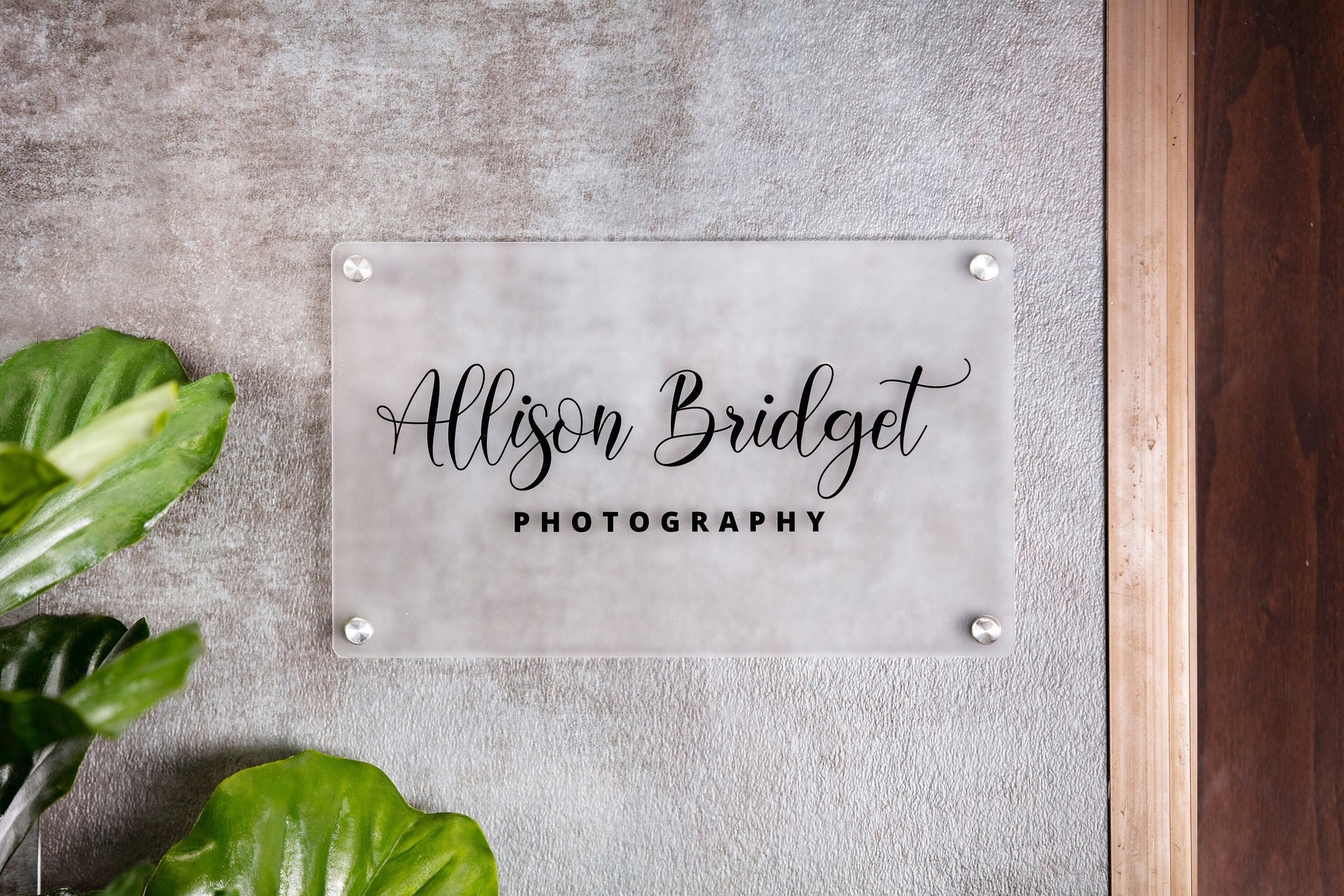 Frosted Acrylic Office Door Sign w/ Metal Stand Offs - 11.5x7" Custom Business Logo Wall Sign, Personalized Medical Office Door Name Plate