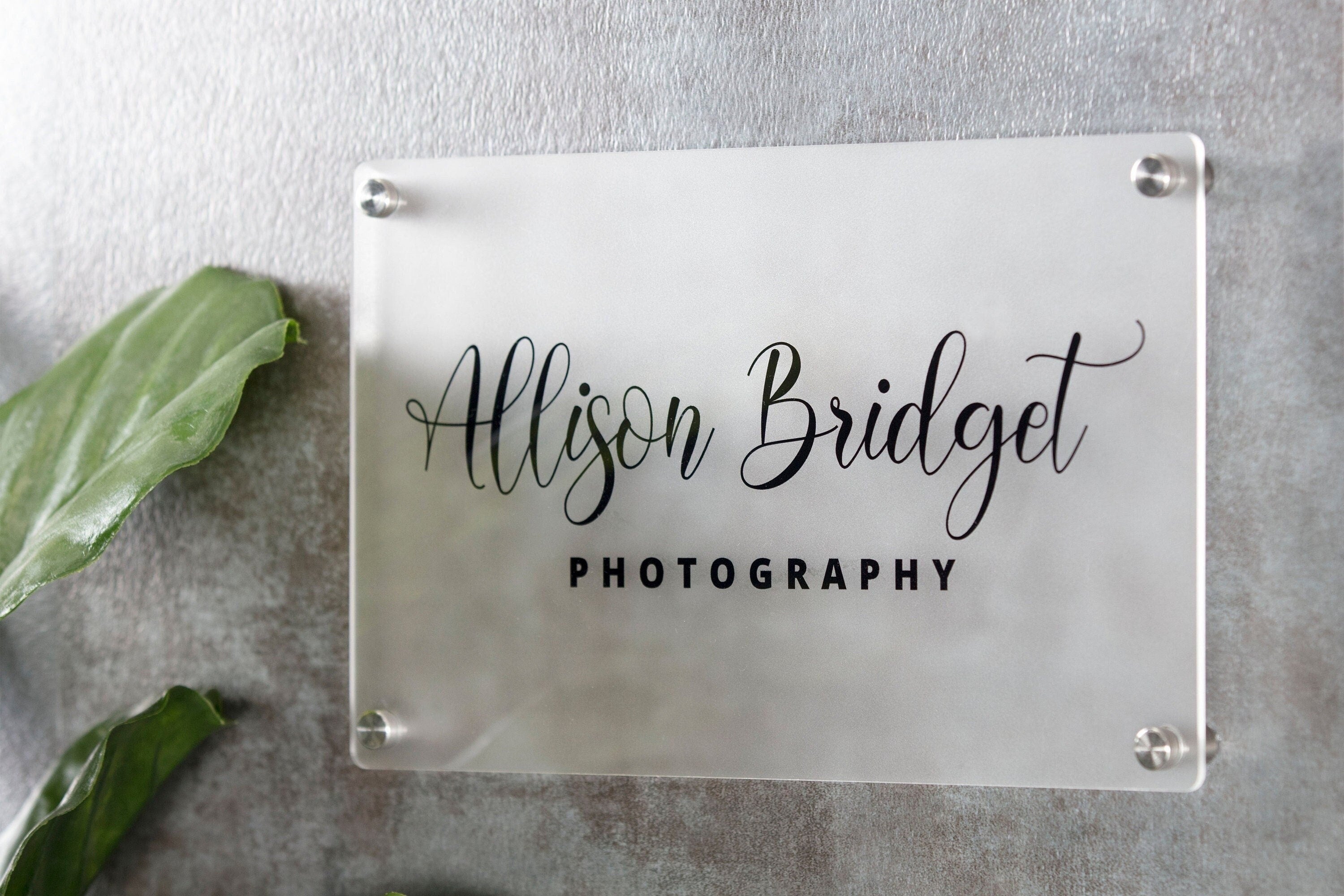 Frosted Acrylic Office Door Sign w/ Metal Stand Offs - 11.5x7" Custom Business Logo Wall Sign, Personalized Medical Office Door Name Plate
