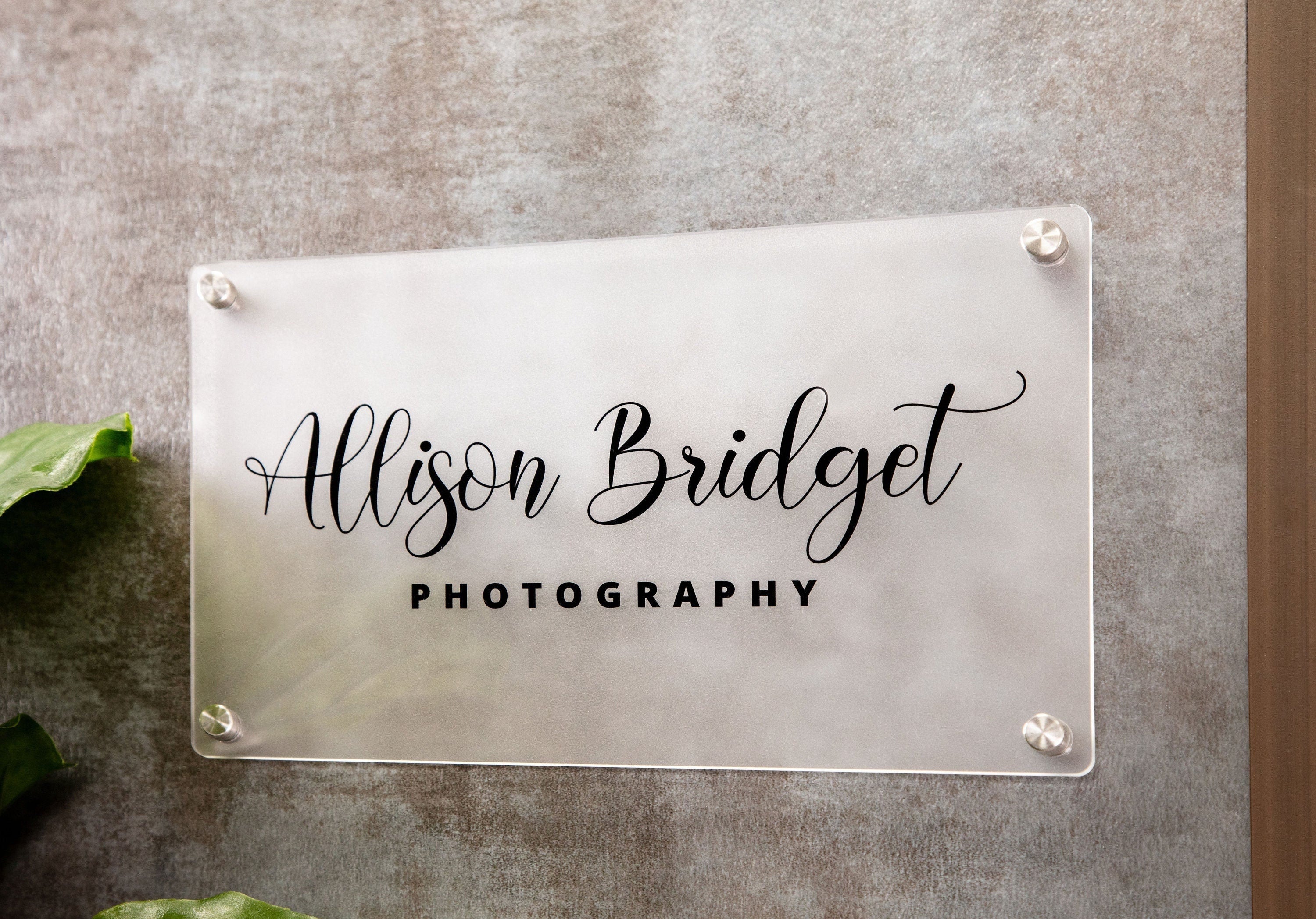Frosted Acrylic Office Door Sign w/ Metal Stand Offs - 11.5x7" Custom Business Logo Wall Sign, Personalized Medical Office Door Name Plate