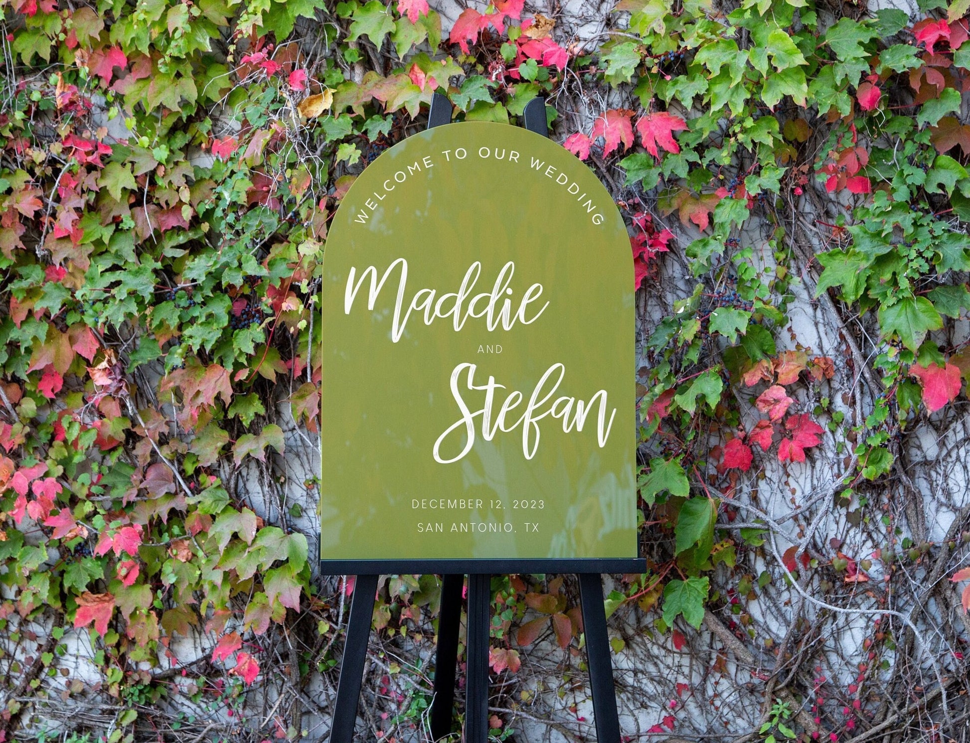 Personalized Arched Acrylic Wedding Welcome Sign (Design 4) , Wedding Sign, Party Sign