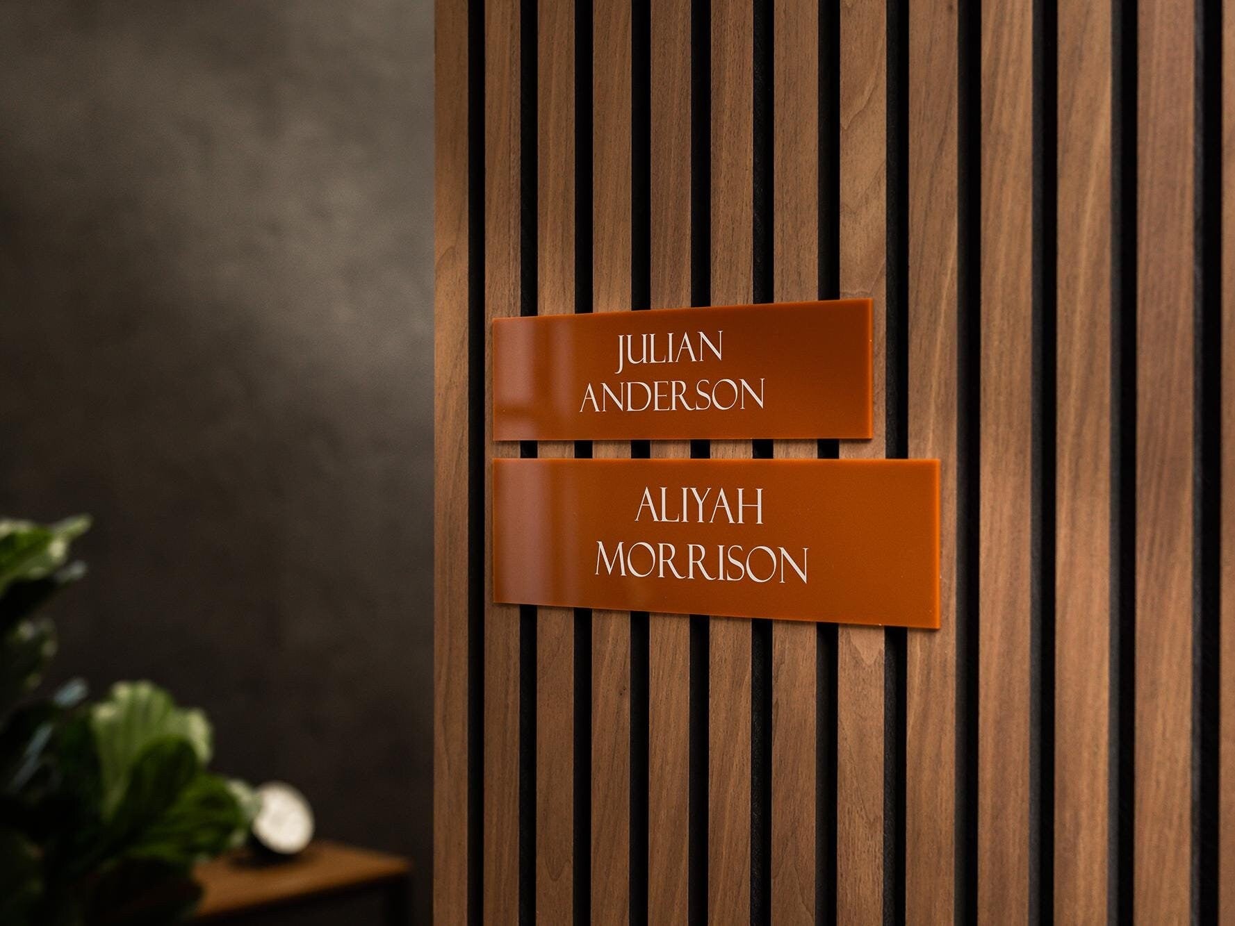 Wall Sign Name Plate (No Hole) D1 - 2 Sizes Personalized Stick on Business School Office Door, Acrylic Plate for Job Role Professional Title