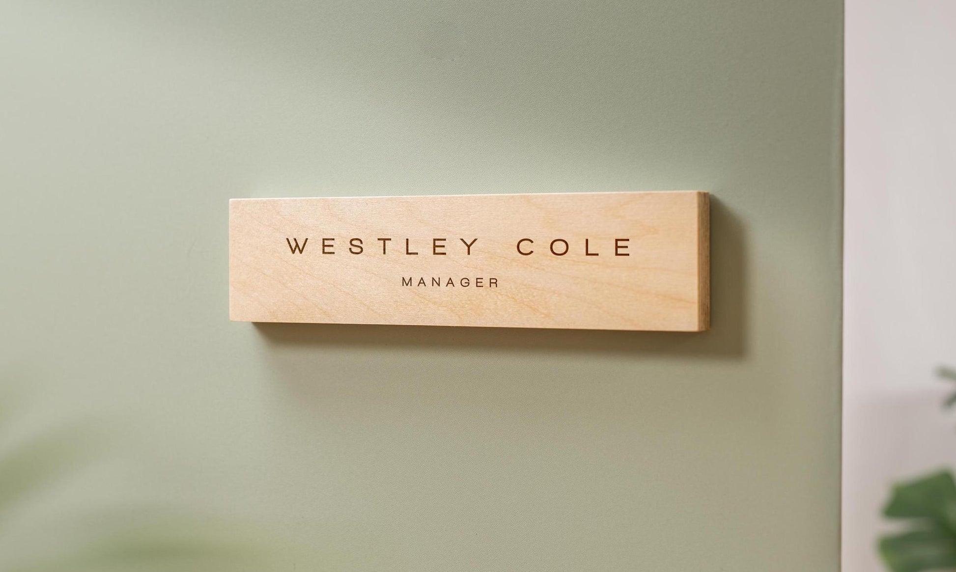 Plywood Wall Sign Name Plate - Personalized Door Office Sign, New Job or Business Decor, Executive Sign, Staff or Teacher Appreciation Gift