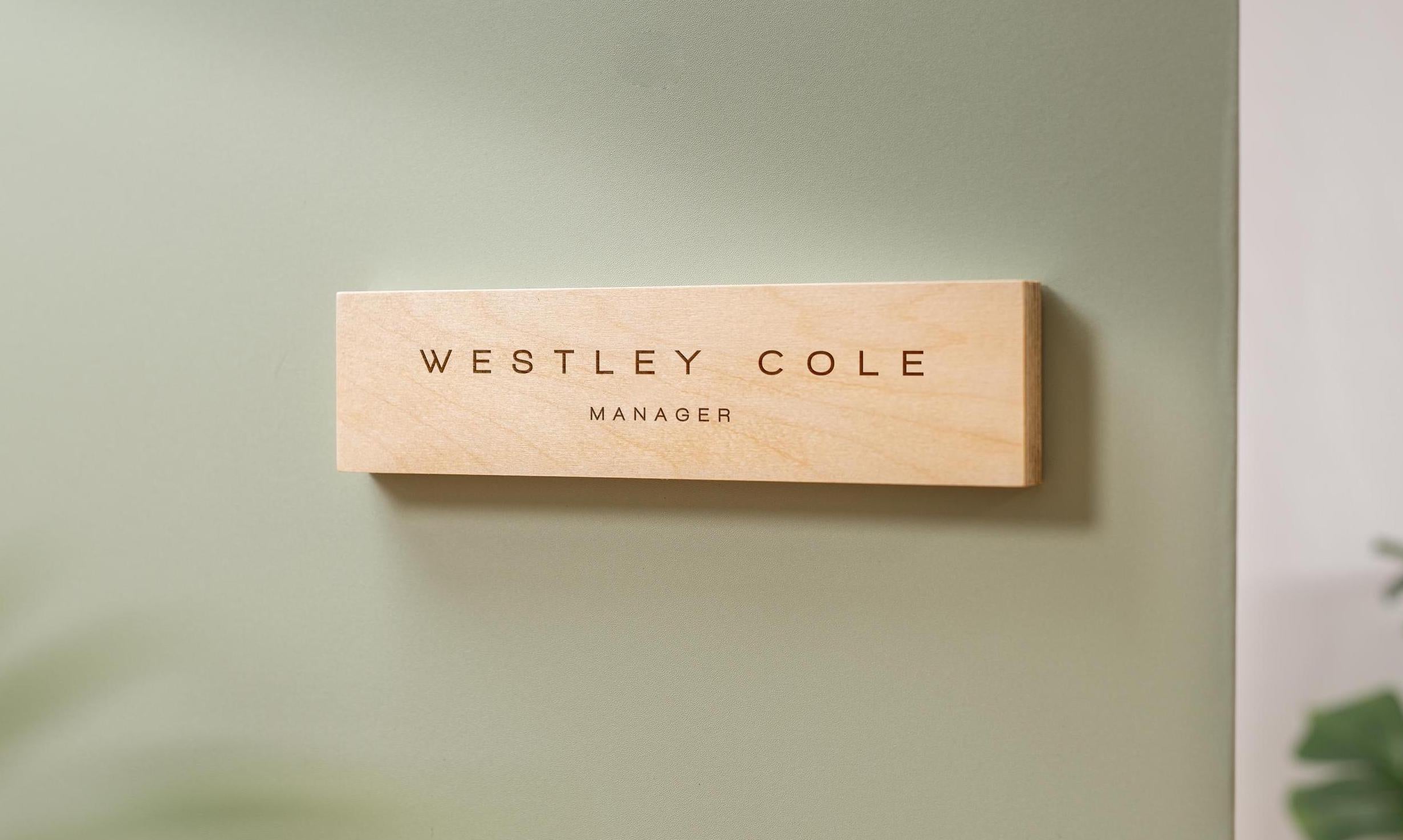 Plywood Wall Sign Name Plate - Personalized Door Office Sign, New Job or Business Decor, Executive Sign, Staff or Teacher Appreciation Gift